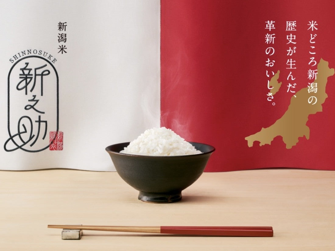新潟米「新之助」― 炊きたてのご飯
